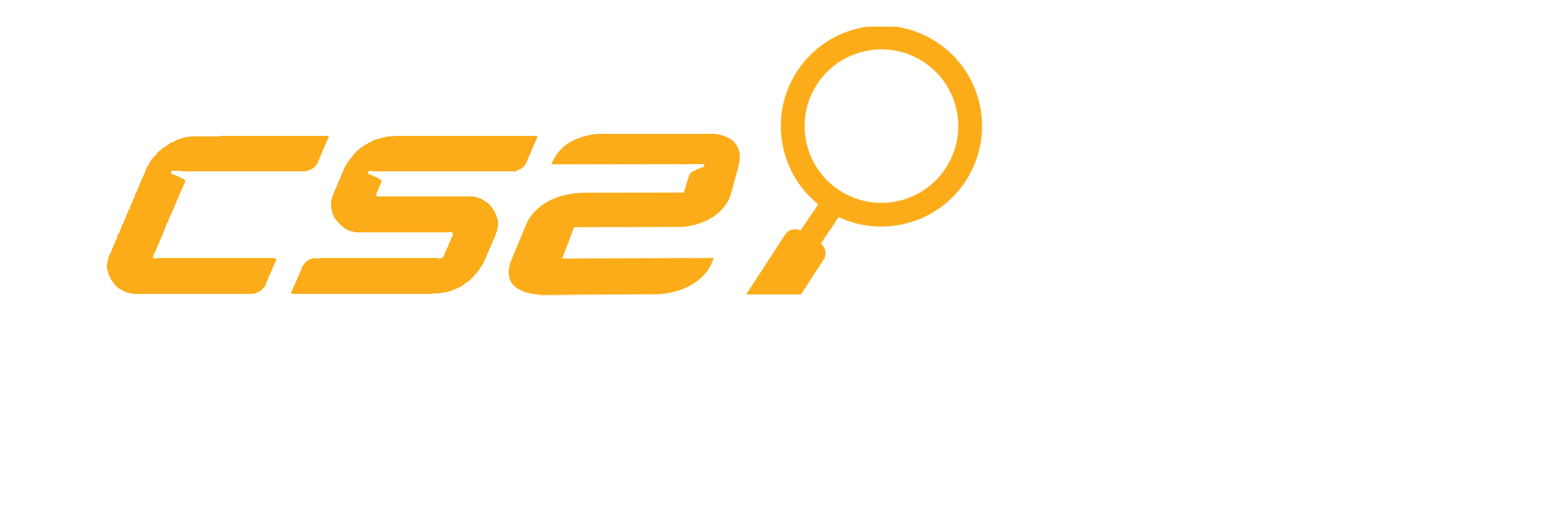 CS2 Inspects